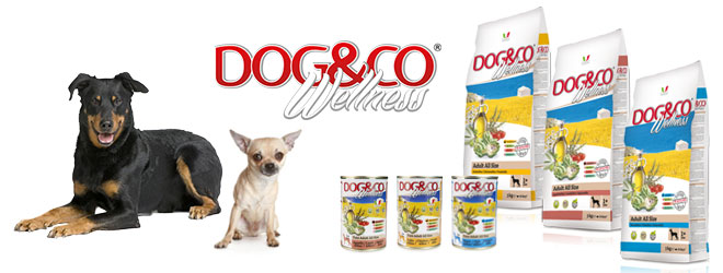 Italian holistic food for dog Dog&Co Wellness