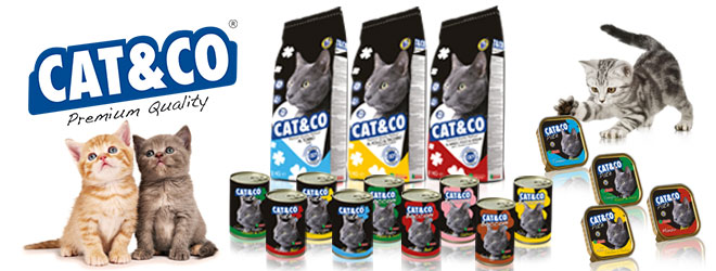 Italian dry and wet food for cat Cat&Co